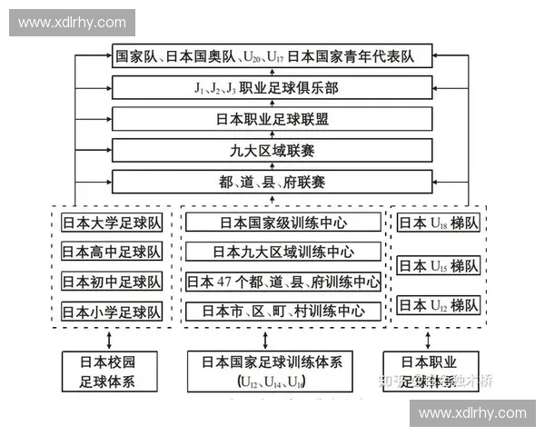 从青训体系到职业联赛改革中国足球振兴之路与未来发展方向